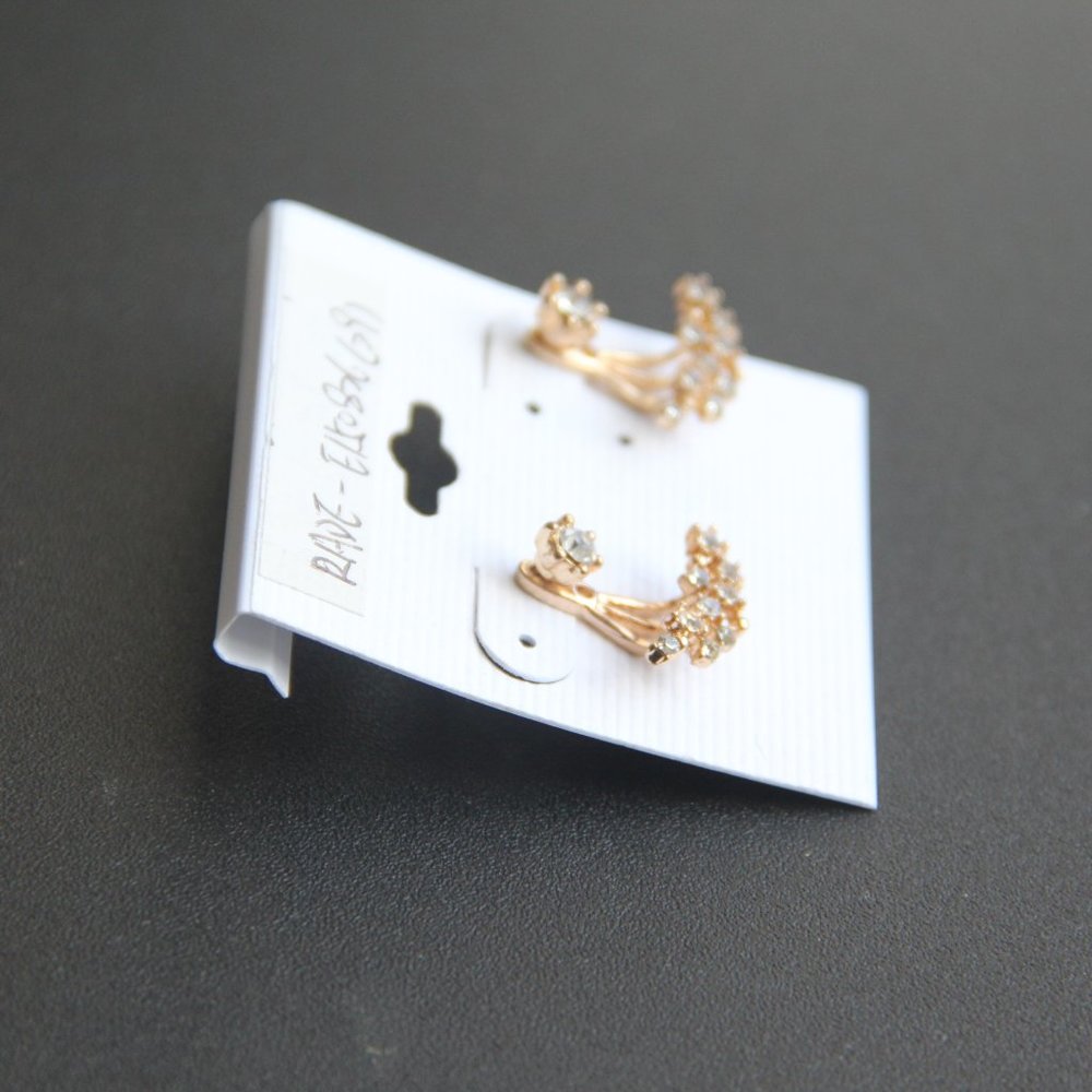 Exquisite earrings - Picture 3 of 3